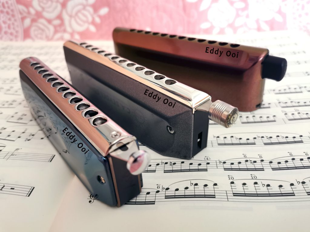 Learn to play Chromatic Harmonica Level 1 (SkillsFuture not applicable